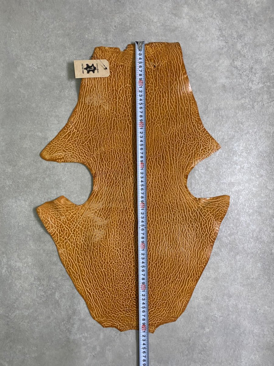 画像5: ケープシール　キャメル　オットセイ革　シールスキン　エキゾチックレザー (5)
