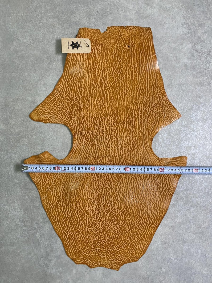 画像6: ケープシール　キャメル　オットセイ革　シールスキン　エキゾチックレザー (6)
