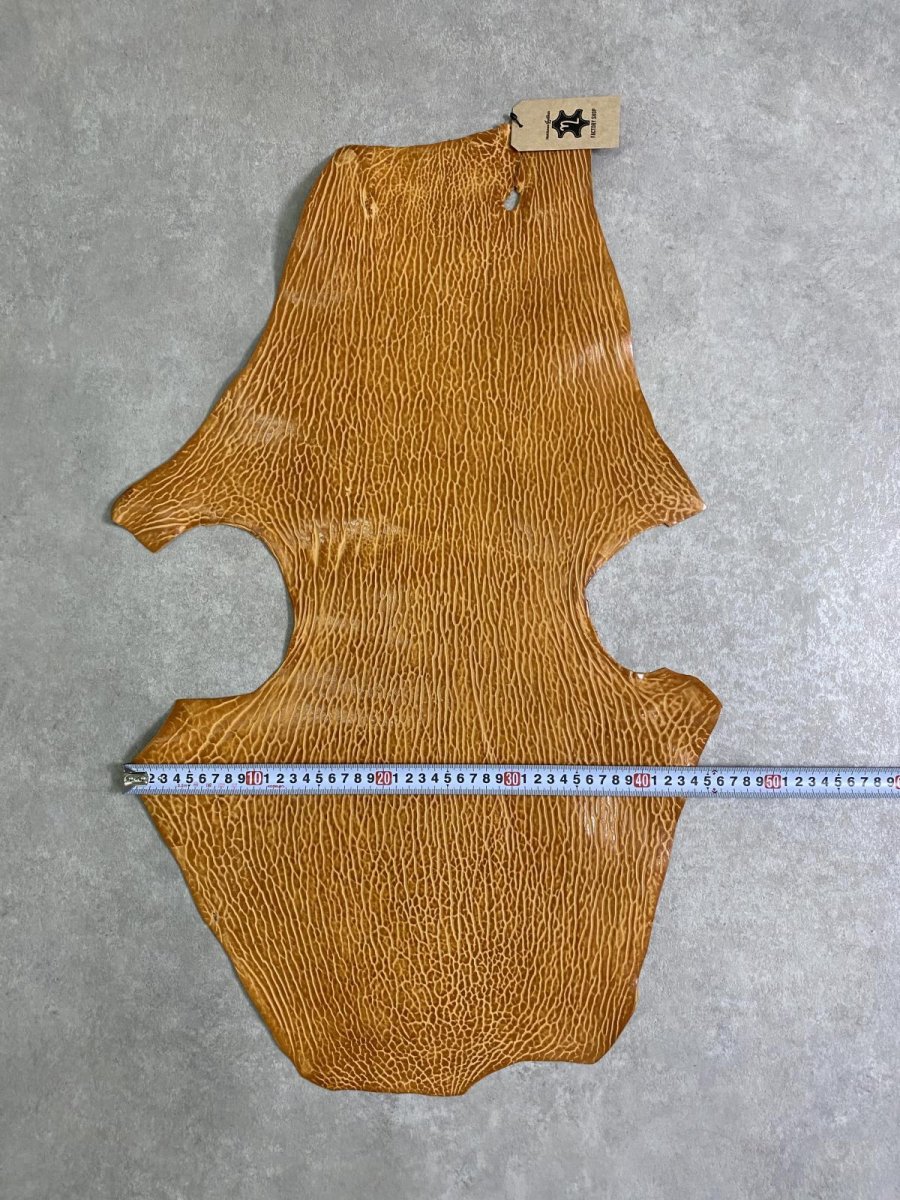 画像6: ケープシール　キャメル　オットセイ革　シールスキン　エキゾチックレザー (6)