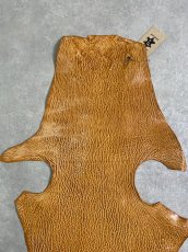 画像3: ケープシール　キャメル　オットセイ革　シールスキン　エキゾチックレザー (3)