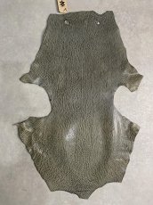 画像1: ケープシール　グレー　オットセイ革　シールスキン　 (1)