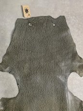 画像3: ケープシール　グレー　オットセイ革　シールスキン　 (3)