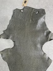 画像3: ケープシール　グレー　オットセイ革　シールスキン　 (3)