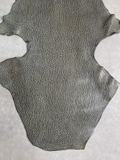 画像4: ケープシール　グレー　オットセイ革　シールスキン　 (4)