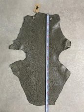 画像6: ケープシール　グレー　オットセイ革　シールスキン　 (6)