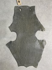画像1: ケープシール　グレー　オットセイ革　シールスキン　 (1)