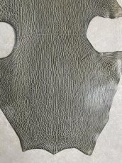 画像4: ケープシール　グレー　オットセイ革　シールスキン　 (4)
