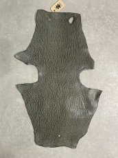 画像1: ケープシール　グレー　オットセイ革　シールスキン　 (1)