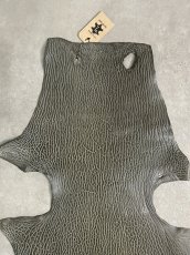 画像3: ケープシール　グレー　オットセイ革　シールスキン　 (3)