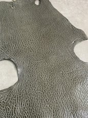 画像5: ケープシール　グレー　オットセイ革　シールスキン　 (5)