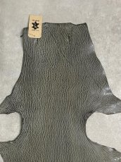 画像3: ケープシール　グレー　オットセイ革　シールスキン　 (3)