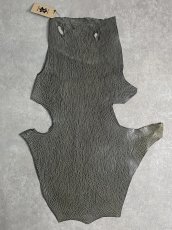 画像1: ケープシール　グレー　オットセイ革　シールスキン　 (1)