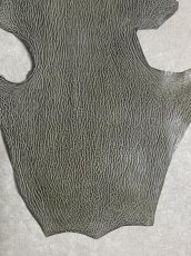 画像4: ケープシール　グレー　オットセイ革　シールスキン　 (4)
