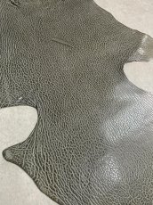 画像5: ケープシール　グレー　オットセイ革　シールスキン　 (5)