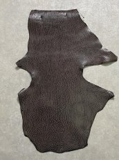 画像1: ケープシール　ニコチン　オットセイ革　シールスキン　エキゾチックレザー (1)
