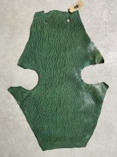 画像1: ケープシール　グリーン　オットセイ革 (1)