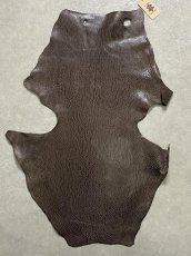 画像1: ケープシール　ニコチン　オットセイ革　シールスキン　エキゾチックレザー (1)