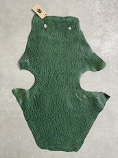 画像1: ケープシール　グリーン　オットセイ革 (1)