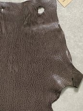 画像3: ケープシール　ニコチン　オットセイ革　シールスキン　エキゾチックレザー (3)