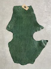 画像1: ケープシール　グリーン　オットセイ革 (1)