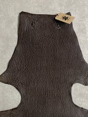画像3: ケープシール　ニコチン　オットセイ革　シールスキン　エキゾチックレザー (3)