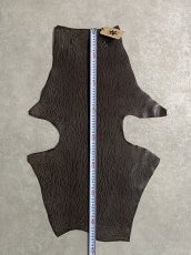 画像6: ケープシール　ニコチン　オットセイ革　シールスキン　エキゾチックレザー (6)