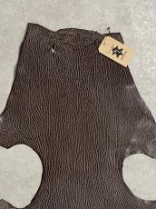 画像4: ケープシール　ニコチン　オットセイ革　シールスキン　エキゾチックレザー (4)