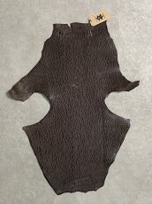 画像1: ケープシール　ニコチン　オットセイ革　シールスキン　エキゾチックレザー (1)