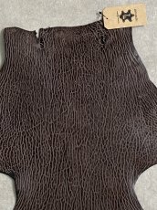 画像4: ケープシール　ニコチン　オットセイ革　シールスキン　エキゾチックレザー (4)