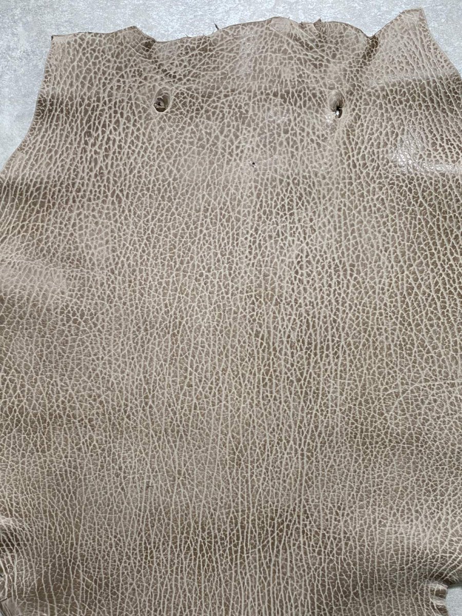 画像3: ケープシール　ブラウン　オットセイ革　シールスキン (3)