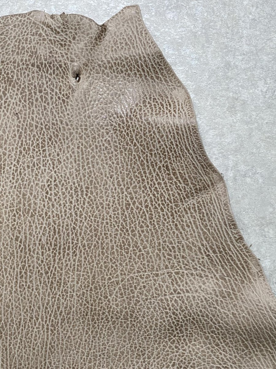 画像4: ケープシール　ブラウン　オットセイ革　シールスキン (4)