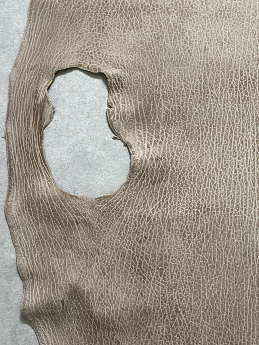 画像5: ケープシール　ブラウン　オットセイ革　シールスキン (5)