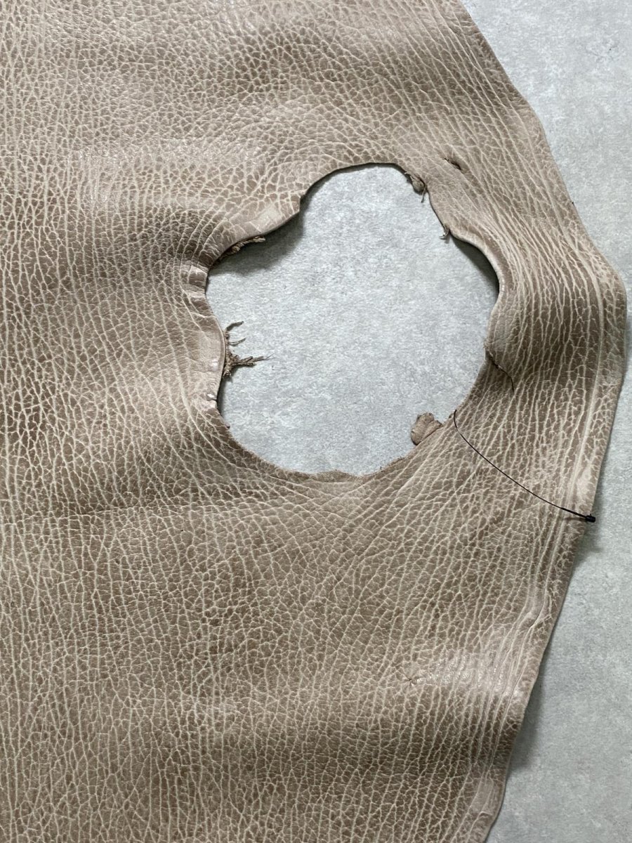 画像6: ケープシール　ブラウン　オットセイ革　シールスキン (6)