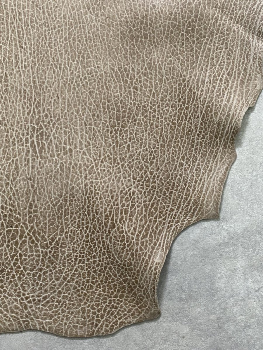 画像8: ケープシール　ブラウン　オットセイ革　シールスキン (8)