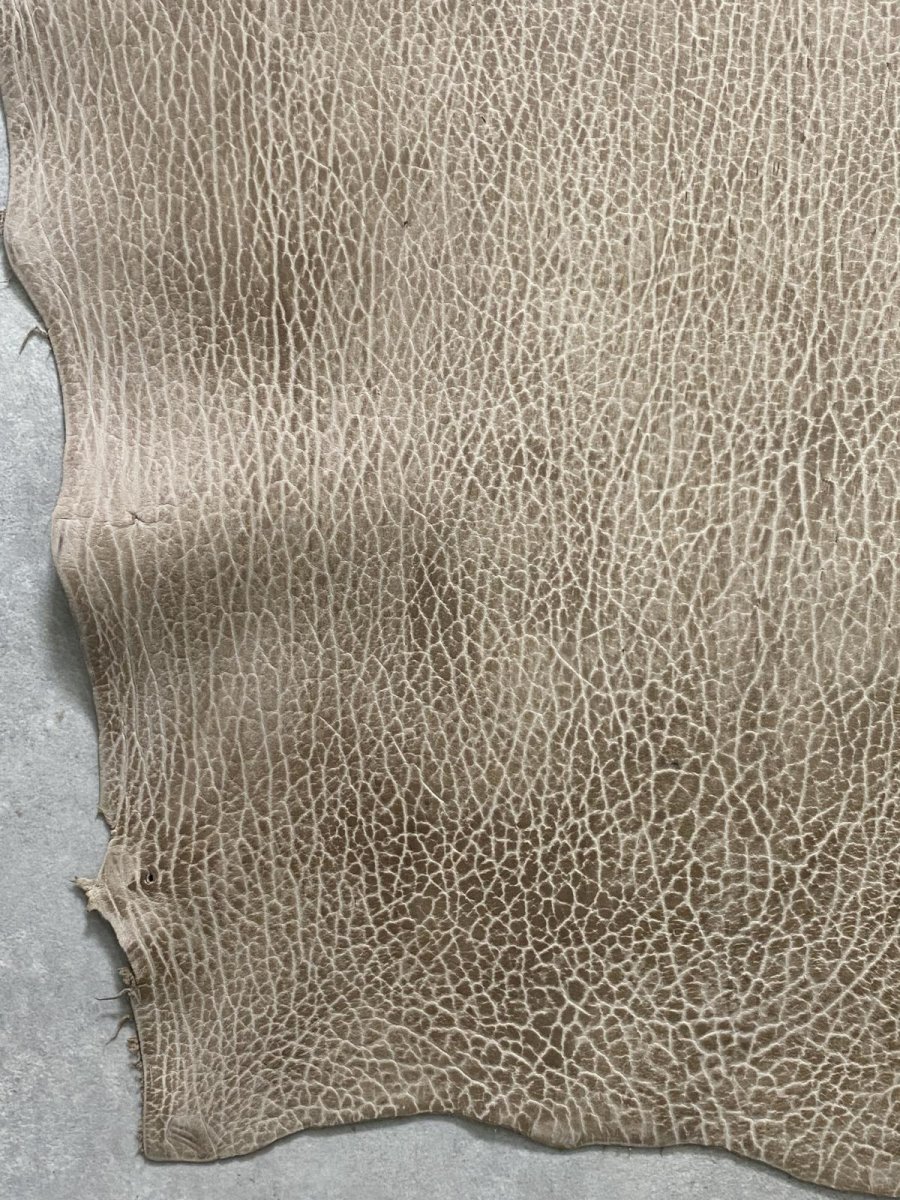 画像7: ケープシール　ブラウン　オットセイ革　シールスキン (7)