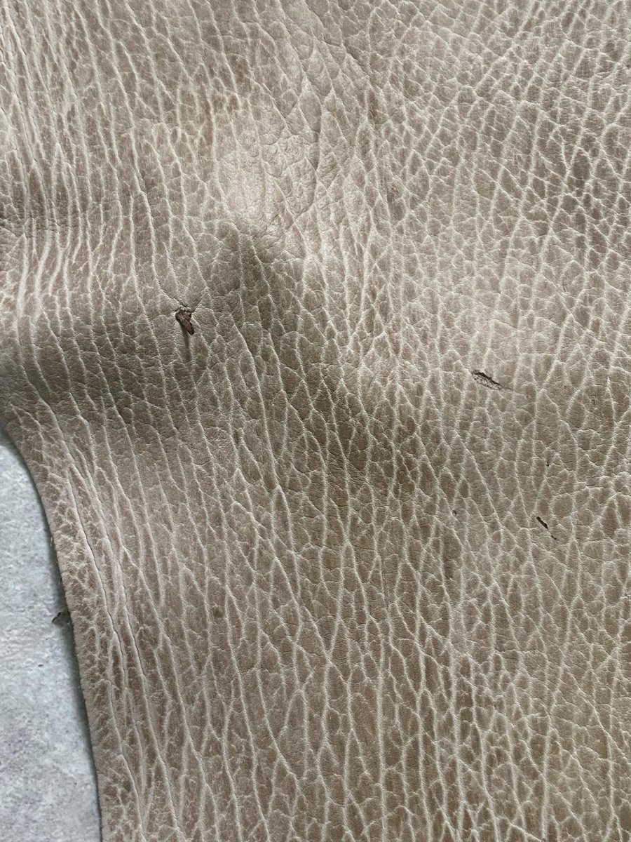 画像9: ケープシール　ブラウン　オットセイ革　シールスキン (9)