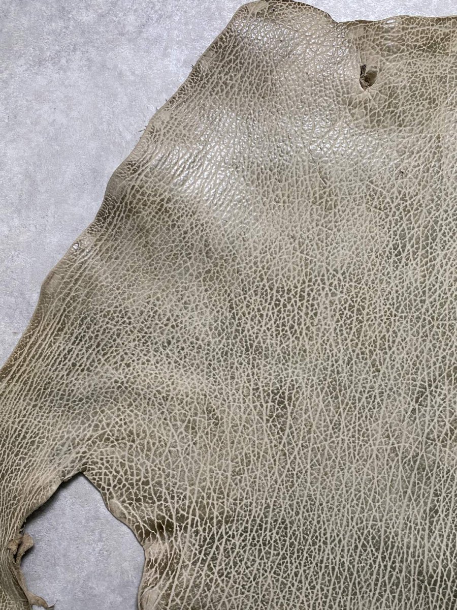 画像2: ケープシール　フォレストグリーン　オットセイ革　シールスキン (2)