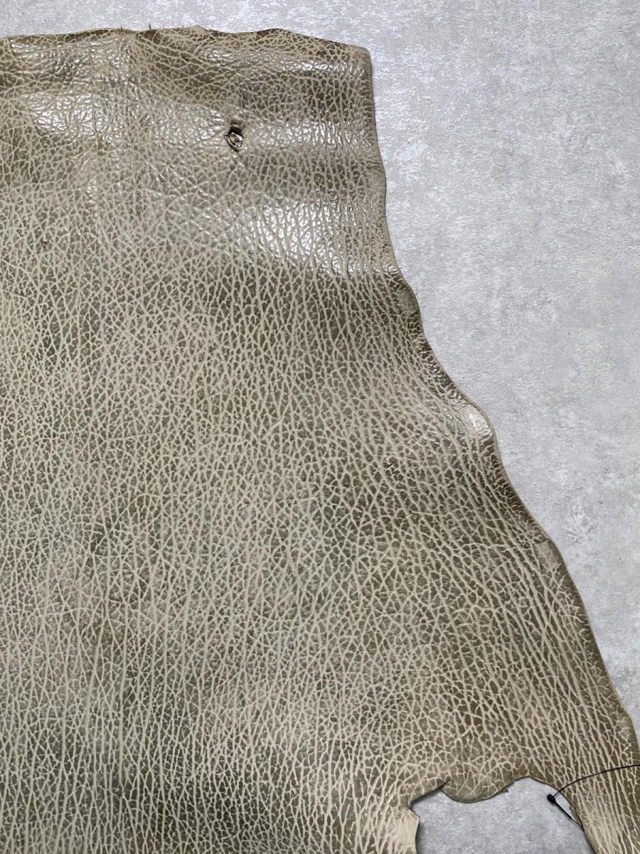 画像4: ケープシール　フォレストグリーン　オットセイ革　シールスキン (4)