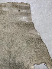 画像4: ケープシール　フォレストグリーン　オットセイ革　シールスキン (4)