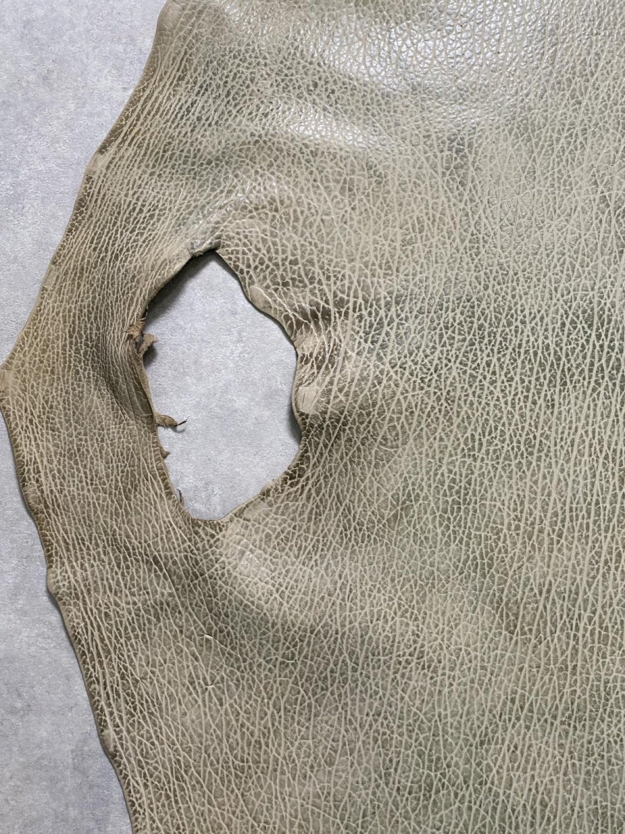 画像5: ケープシール　フォレストグリーン　オットセイ革　シールスキン (5)