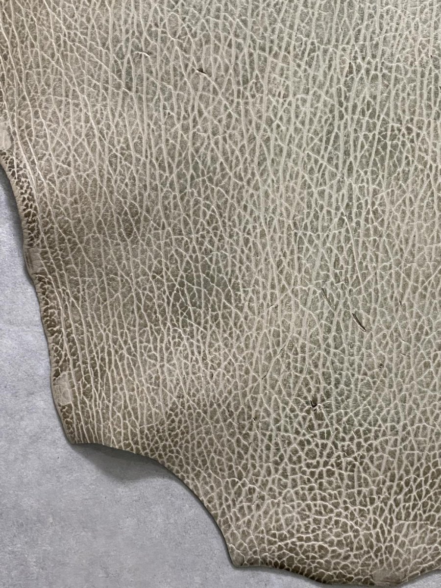 画像7: ケープシール　フォレストグリーン　オットセイ革　シールスキン (7)