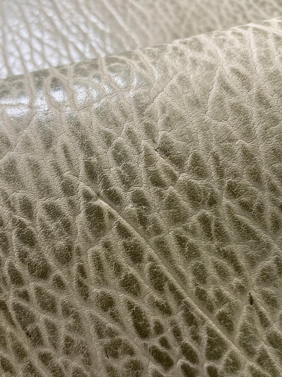 画像10: ケープシール　フォレストグリーン　オットセイ革　シールスキン (10)