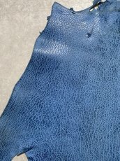 画像2: ケープシール　ブルー　オットセイ革　シールスキン (2)