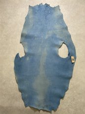 画像12: ケープシール　ブルー　オットセイ革　シールスキン (12)