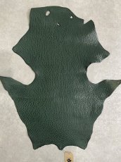 画像1: ケープシール　グリーン　オットセイ革 (1)