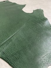 画像6: ケープシール　グリーン　オットセイ革 (6)