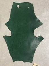 画像1: ケープシール　グリーン　オットセイ革 (1)