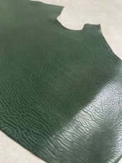 画像6: ケープシール　グリーン　オットセイ革 (6)