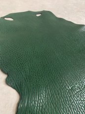 画像5: ケープシール　グリーン　オットセイ革 (5)
