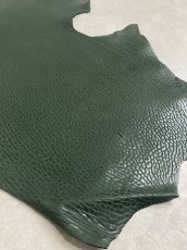 画像6: ケープシール　グリーン　オットセイ革 (6)
